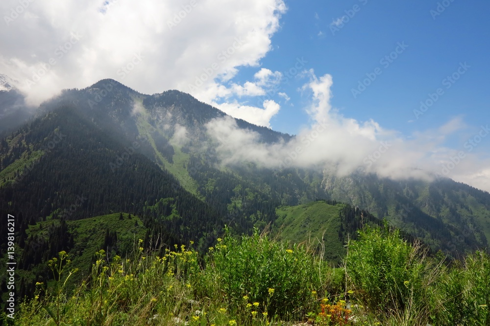 Obraz premium Above the clouds