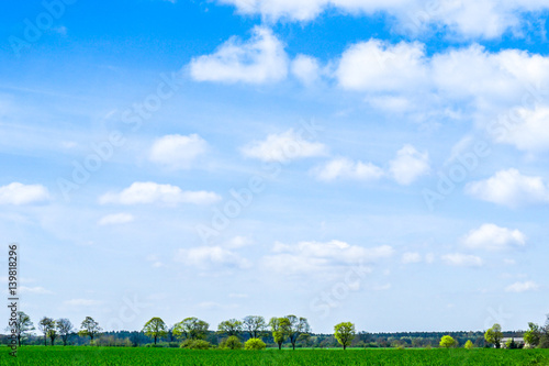 green Field and blue sky