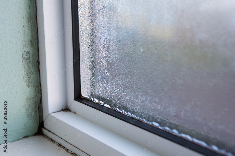 House Window With Damp And Condensation - obrazy, fototapety, plakaty 