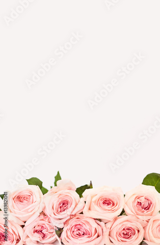 Roses background. mothers Day. Valentine s Day