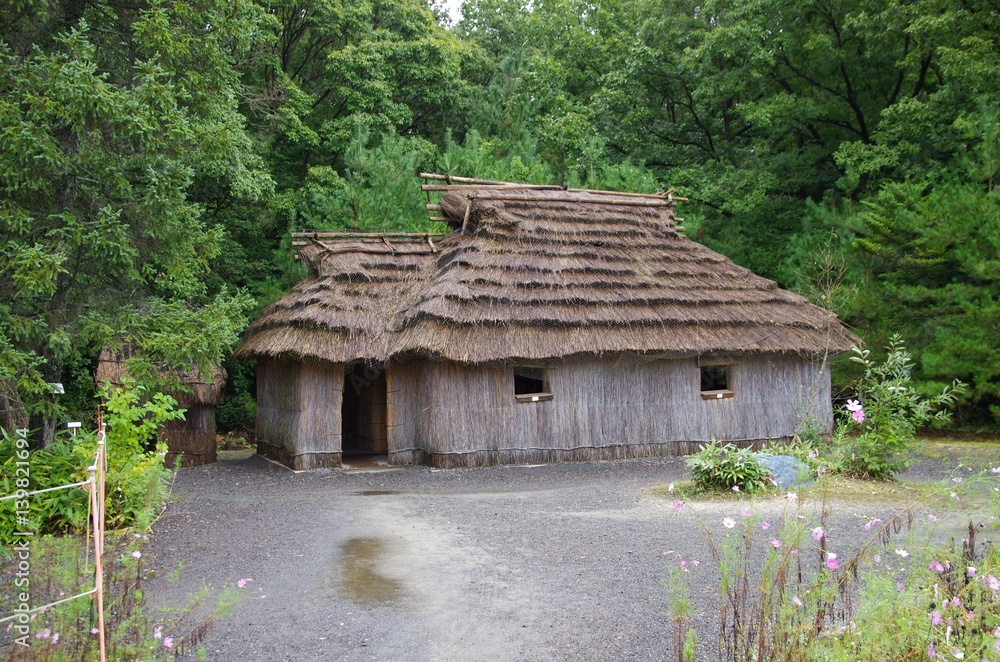 南国の茅葺き屋根の住宅 南国の茅葺き屋根の住宅