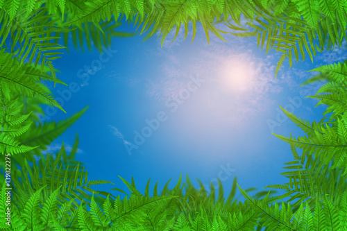 Green trees and leaf greenery sky cloud background
