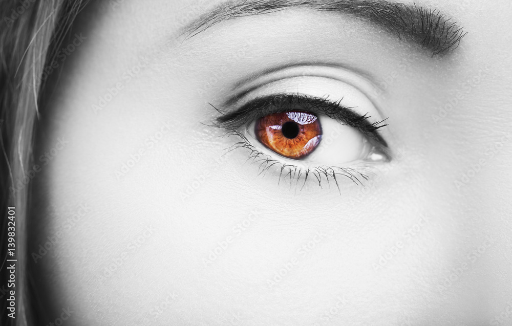 A beautiful insightful look woman's eye. Close up shot A beautiful insightful look woman's eye. Close up shot