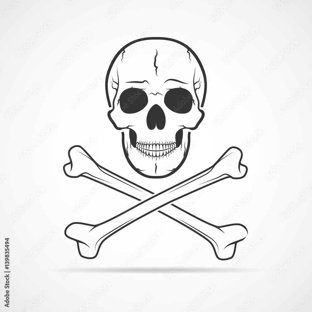 Skull and crossbones. Vector illustration
