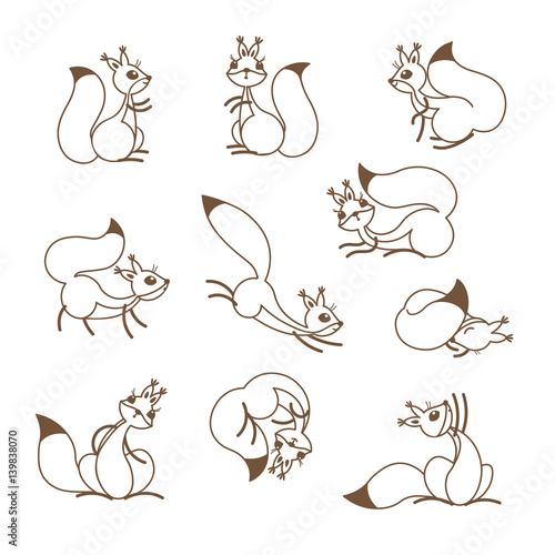 Cartoon cute squirrel. Little funny squirrels. Vector illustration