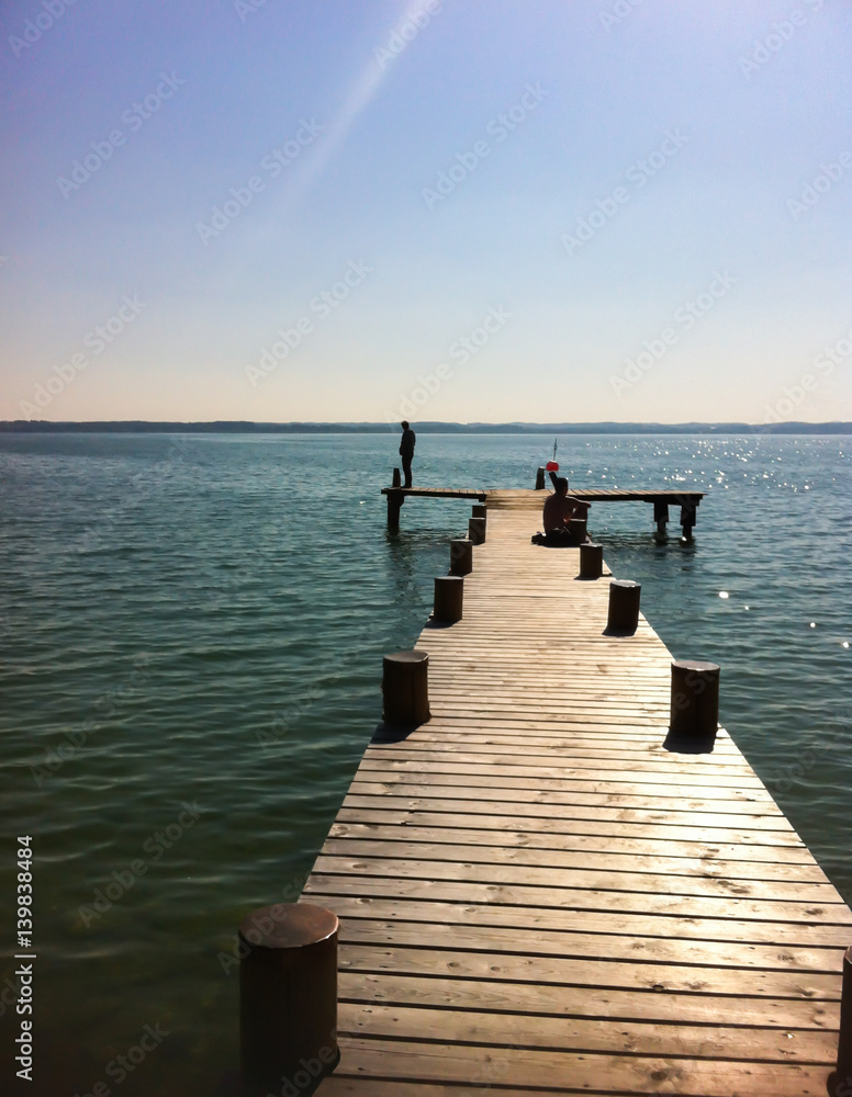 Obraz premium Am Chiemsee Natur Steg Idylle