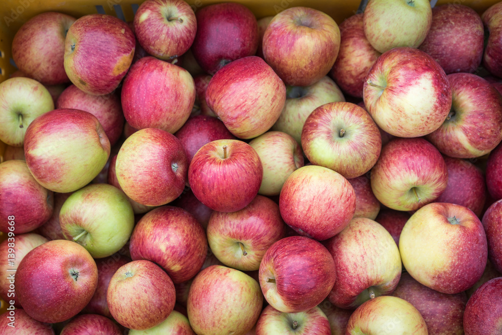 Top view of juicy fresh red and yellow apples. Top view of juicy fresh red and yellow apples.