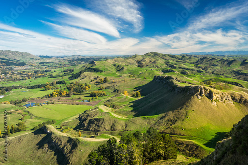 Beautiful Countryside Meadow in New Zealand