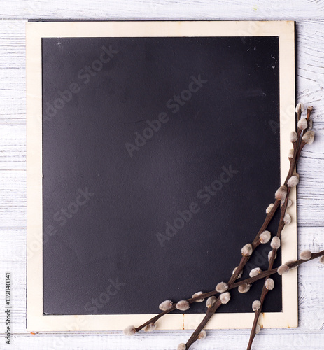 chalk board with branches seal photo