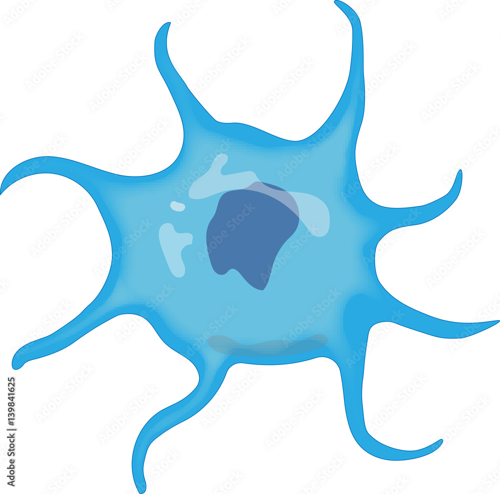 Dendritic Cell Stock Vector | Adobe Stock