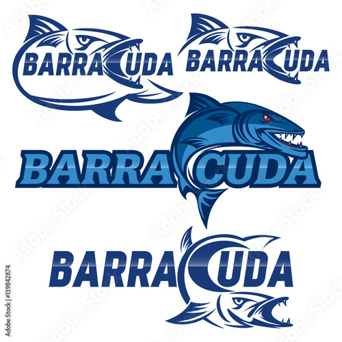 Barracuda logo photo