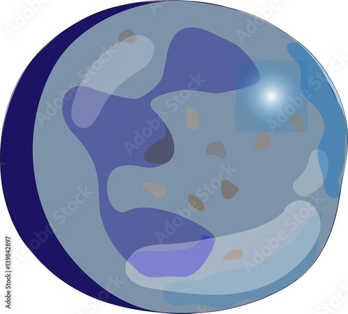 Granulocyte
