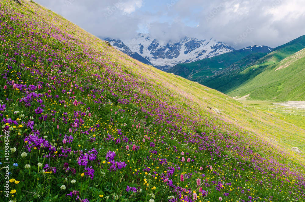 Summer landscape with blossoming mountain valley in Georgia