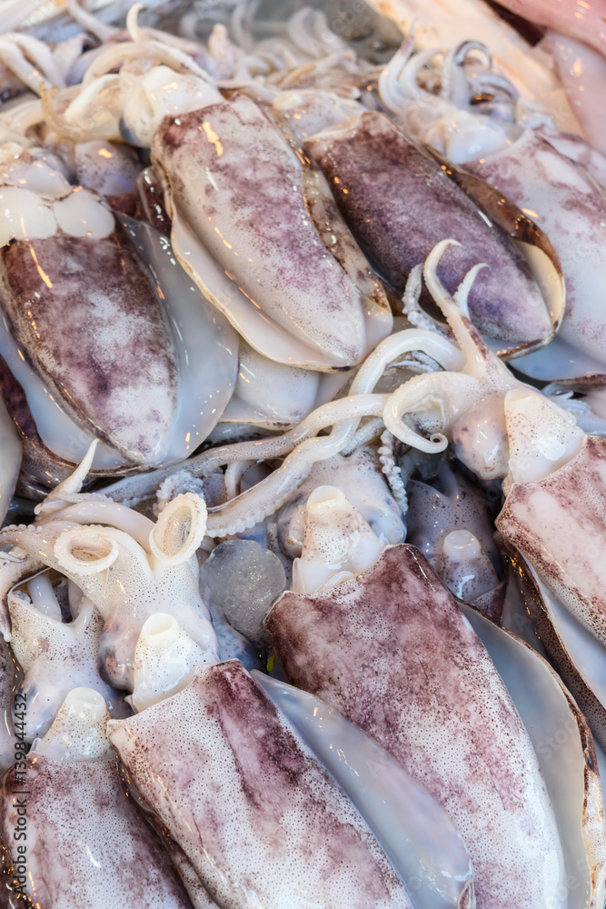 fresh squid fresh squid