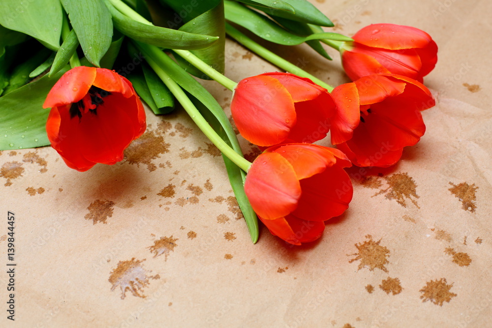 red tulips on brown paper background red tulips on brown paper background