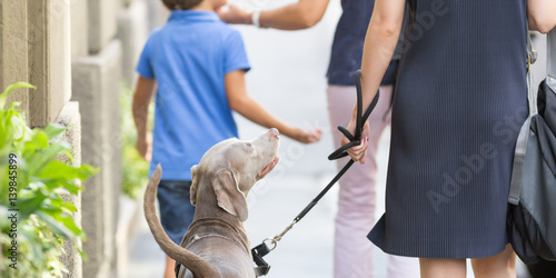 Elegant lady shopping with her dog