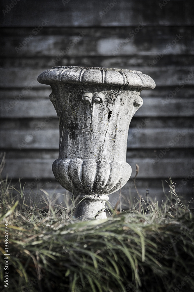 Fototapeta premium garden pot