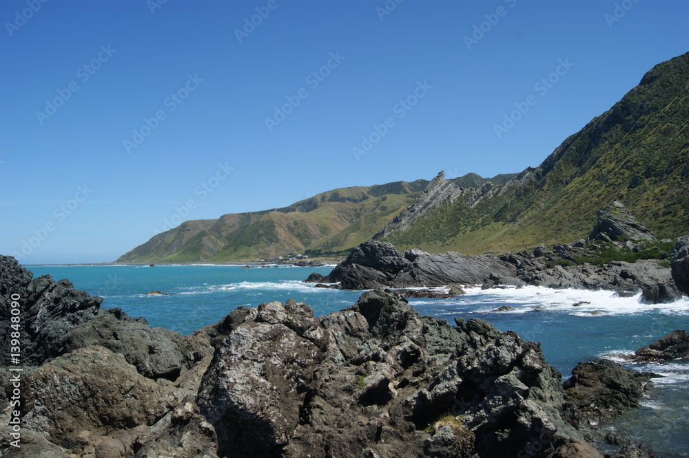 Fototapeta premium cape pallisser
