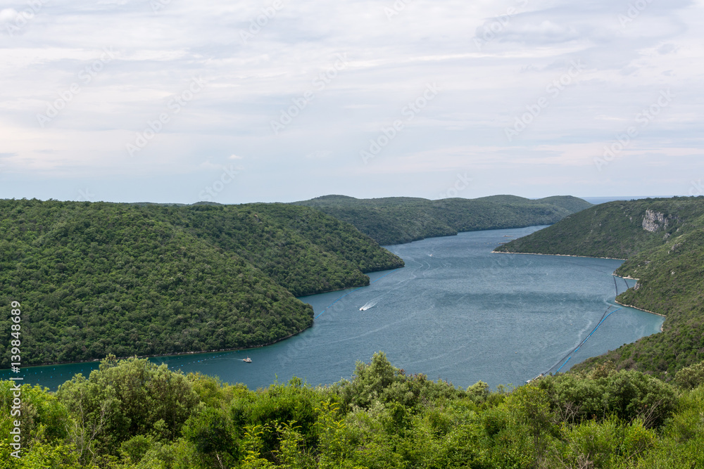 Aerial view to Lim channel (Limski Fjord) in Istria, western part of Croatia on Adriatic sea.