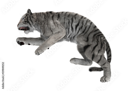 Fototapeta Naklejka Na Ścianę i Meble -  3D Rendering White Tiger on White