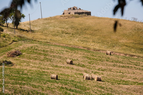 fieno paglia