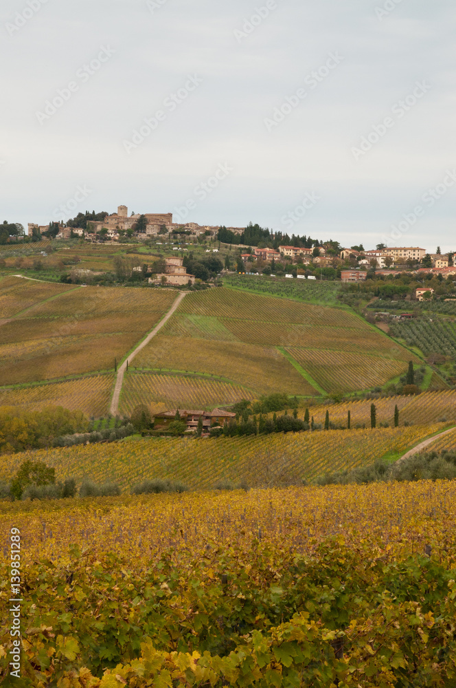 Scenic Tuscany landscape in Italy
