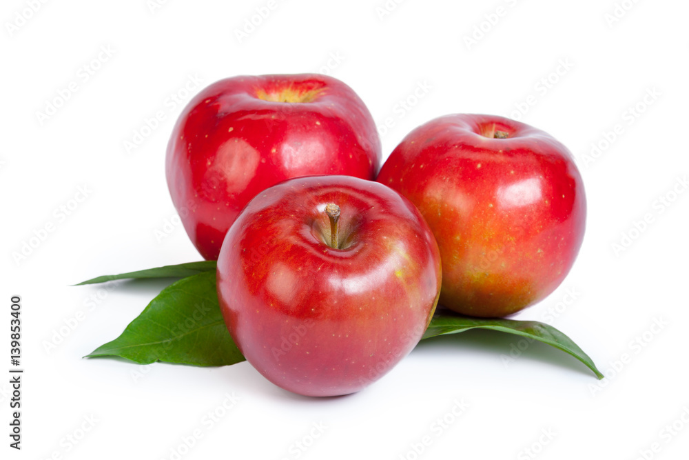 red apple isolated on the white background red apple isolated on the white background