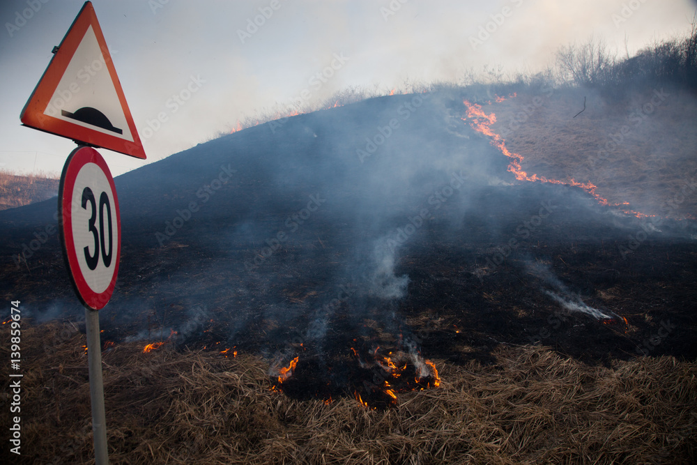 Fototapeta premium wildfrire - dry grass burning in early spring
