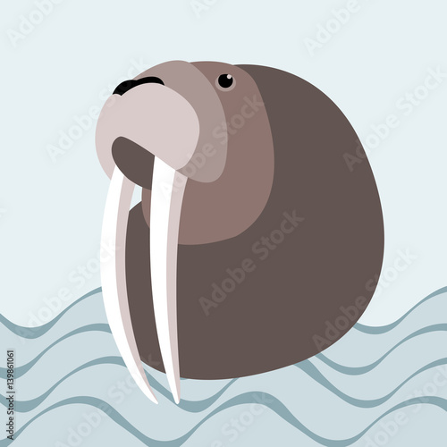 walrus vector illustration style Flat