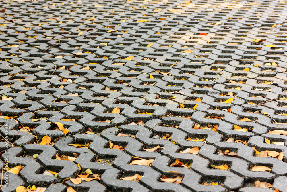 Obraz premium Brick and leaves
