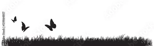 Obraz SILHOUETTE HERBE ET PAPILLONS