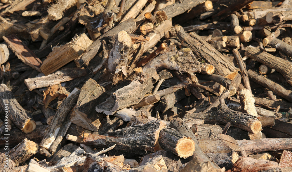 woodshed with many pieces of wood ready to be burned to keep war woodshed with many pieces of wood ready to be burned to keep war