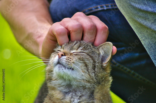 (c) Harald Schmidt 2013