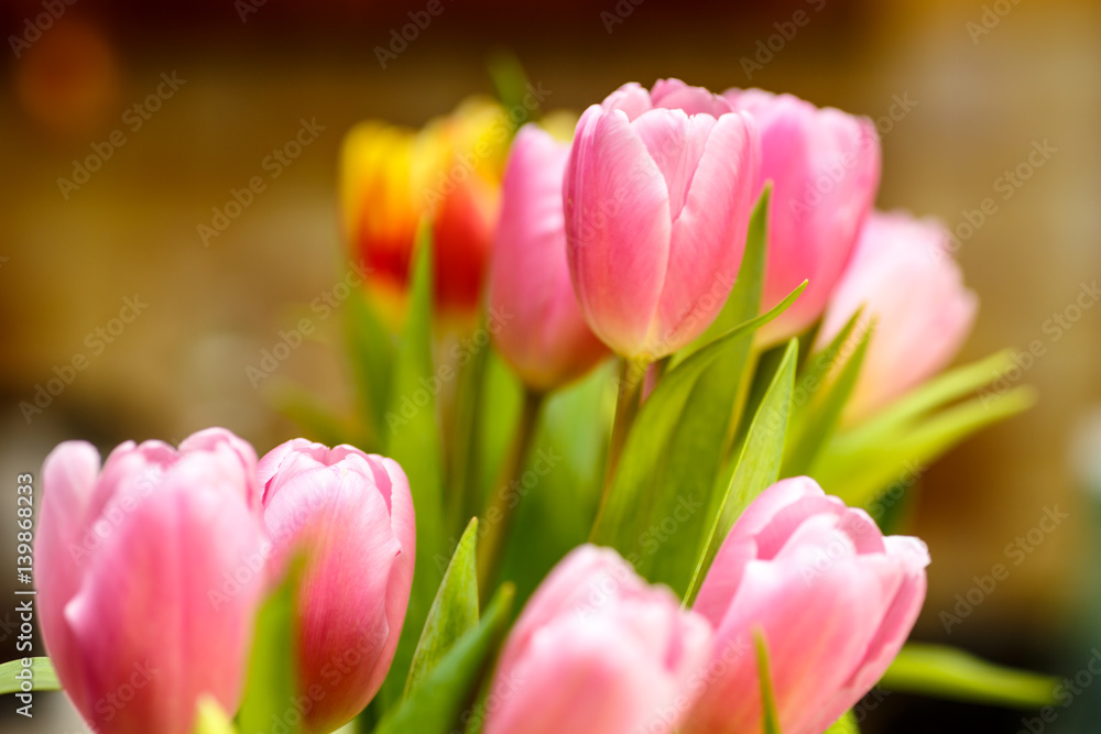 Close-up . Pink tulips are in the vase.