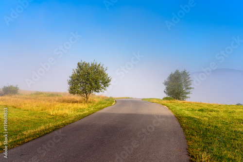 Asphalt road and trees in misty morning in mountains. Poland.
