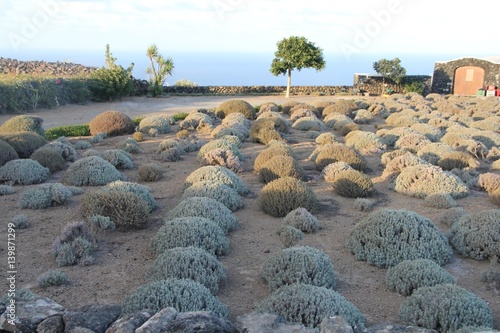 Принти на полотні Pantelleria