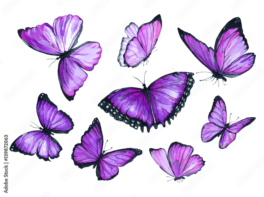 Flying purple butterfly. Watercolor illustration Stock Vector Adobe Stock
