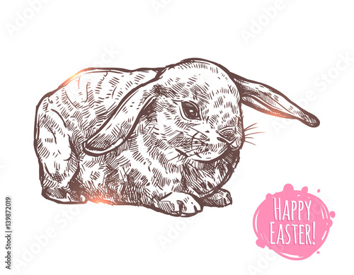 Hand Drawn Happy Easter Rabbit. Sketch Monochrome Greeting Illustration