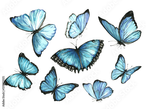 Blue Butterflies. Set. Watercolor illustration
