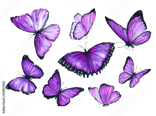 Flying purple butterfly. Watercolor illustration