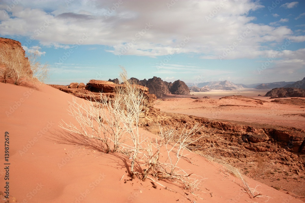 Stone desert in the desert valley Wadi Rum in Jordan
