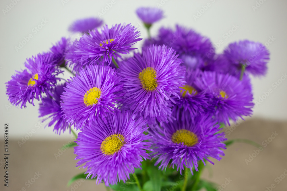 Fototapeta premium wild flowers, gift spring bouquet.