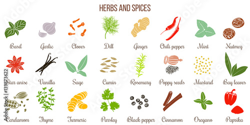 Big set of simple flat culinary herbs and spices . Silhouettes photo