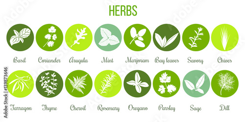 Big set of flat culinary herbs in circles. White Silhouettes