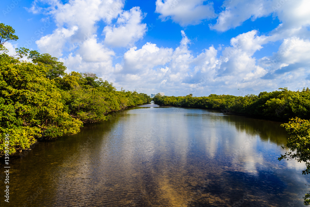 beautiful blue sky over mangrove-lined waterway beautiful blue sky over mangrove-lined waterway