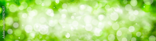 Grüner Hintergrund mit Bokeh Effekt
