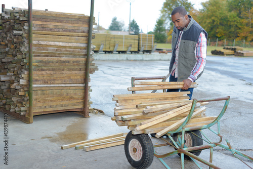 Man with planks of wood on trolley