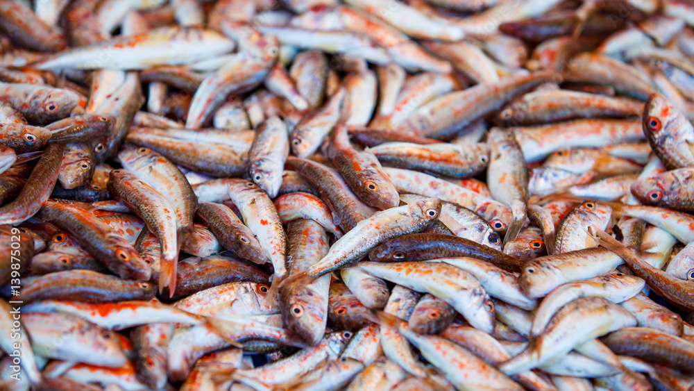 Fresh fish. Mullus fish Fresh fish. Mullus fish