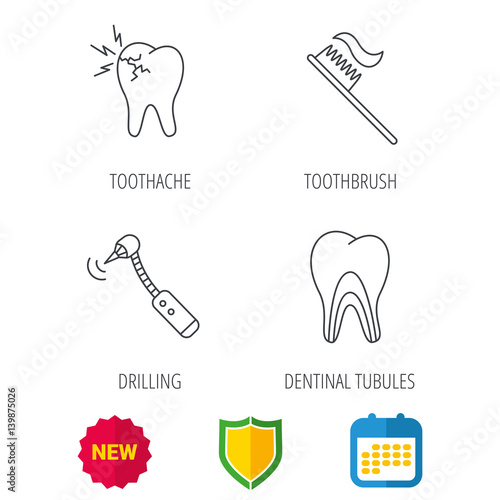 Toothache, drilling tool and toothbrush icons. Dentinal tubules linear sign. Shield protection, calendar and new tag web icons. Vector