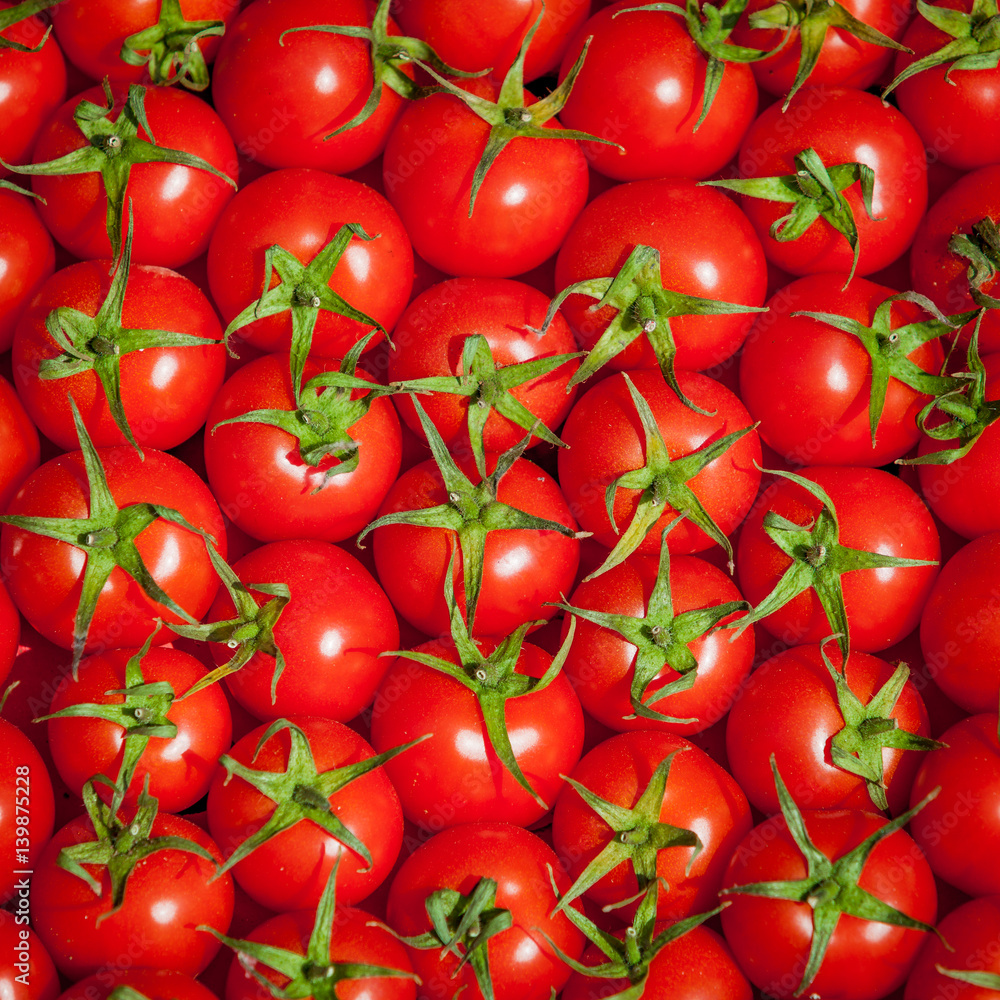 red tomatoes background. Group of tomatoes.tomato red tomatoes background. Group of tomatoes.tomato